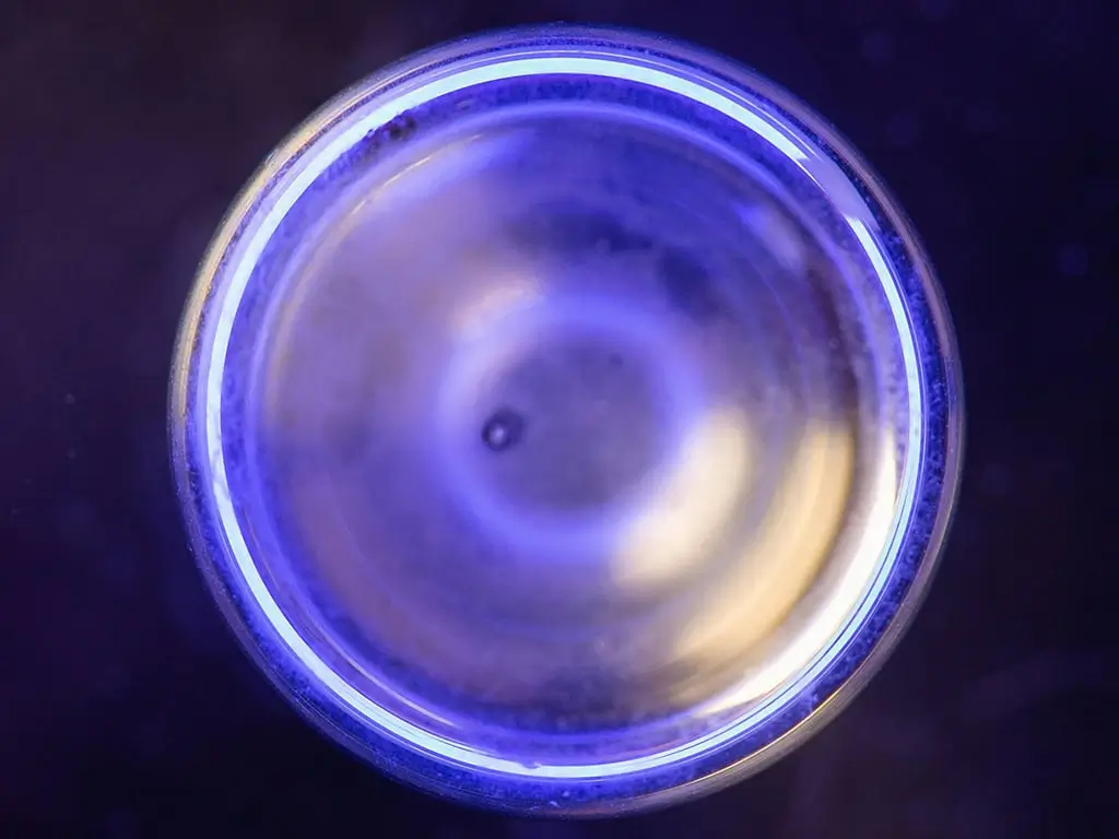 beauty and wellness trends