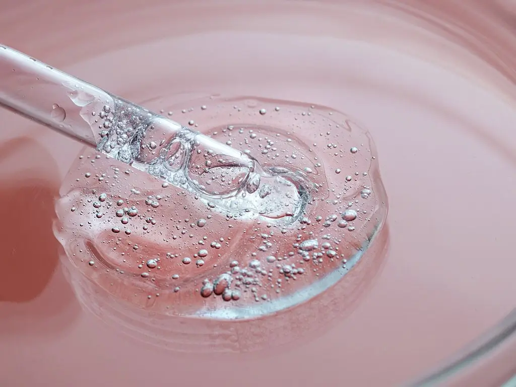 fermented ingredients skincare