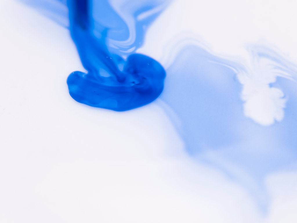 longevity conference 2026